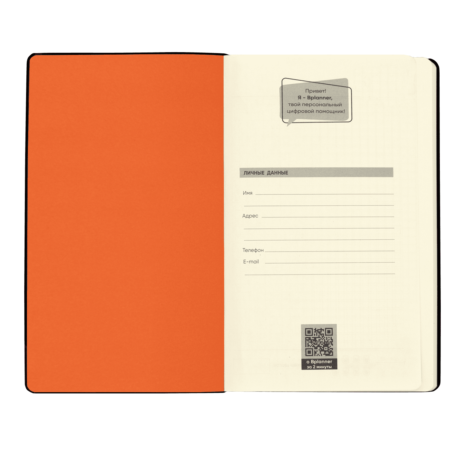 Бизнес-блокнот Bplanner.05 (оранжевый)
