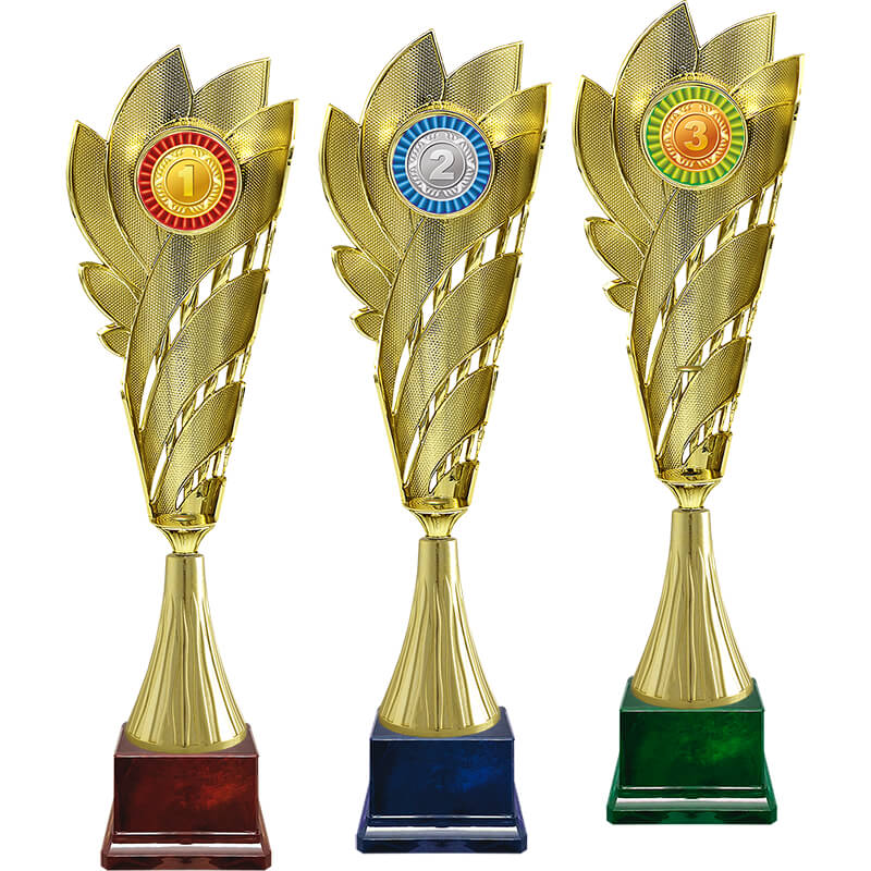 Кубок Лолла 2 место