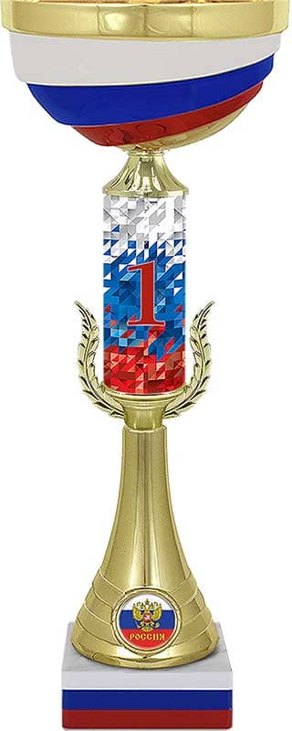 Кубок Мэтр 1 место