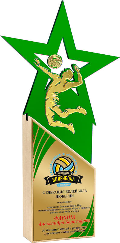 Акриловая награда с сублимационной печатью волейбол
