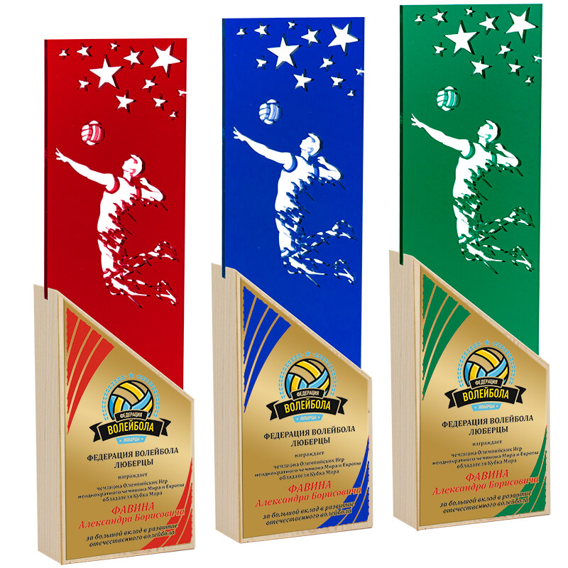 Акриловая награда с сублимационной печатью волейбол