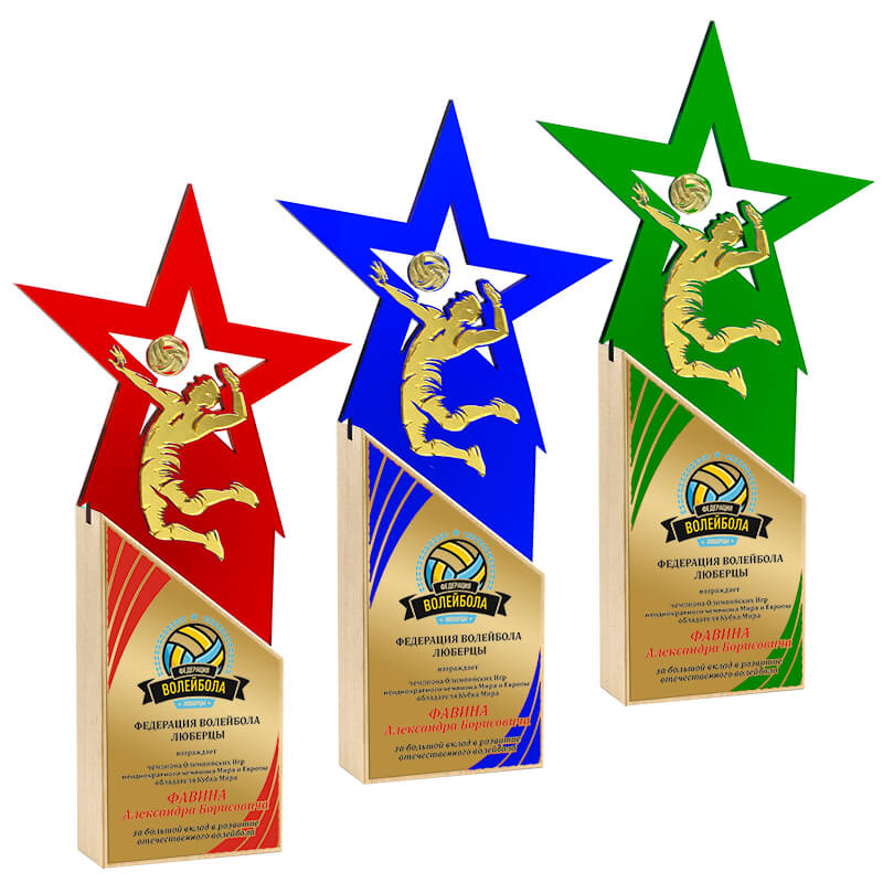 Акриловая награда с сублимационной печатью волейбол