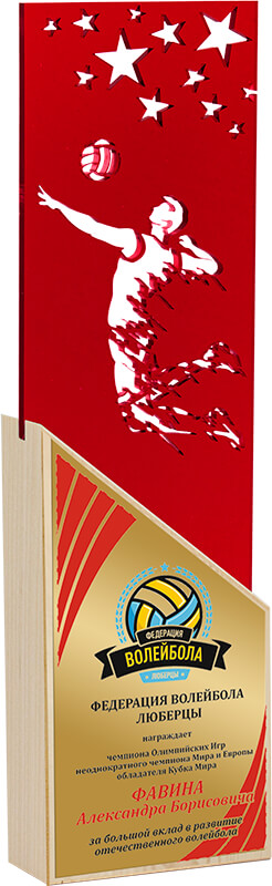Акриловая награда с сублимационной печатью волейбол