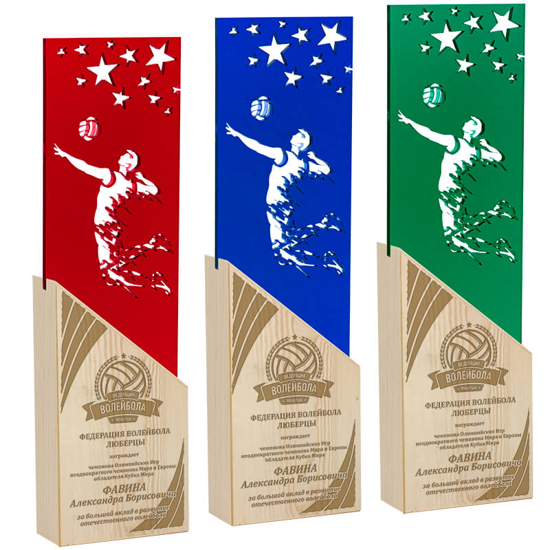 Акриловая награда с лазерной гравировкой волейбол
