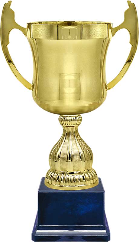 Кубок Флайт 50см (К6, Т10)