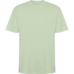 Футболка оверсайз BULL, ТУМАННО-ЗЕЛЕНЫЙ XS Футболка оверсайз BULL, ТУМАННО-ЗЕЛЕНЫЙ XS