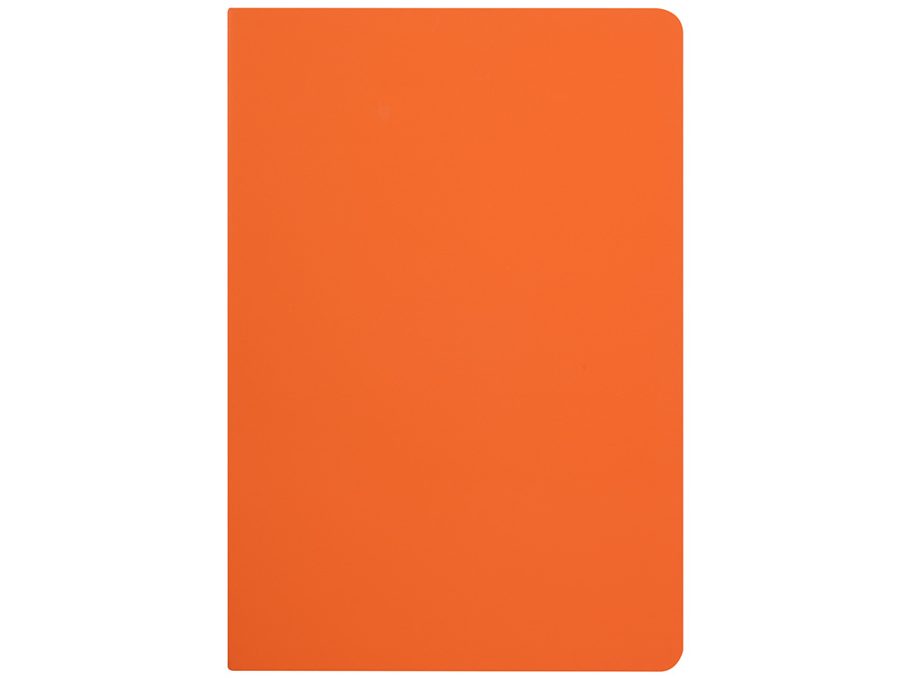 Бизнес-тетрадь А5 Pragmatic Contrast, 40 листов в клетку, оранжевый с темно-серым срезом