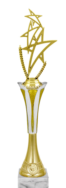 Награда Звезды