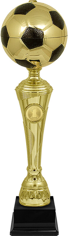 Кубок Фабиан 1 место