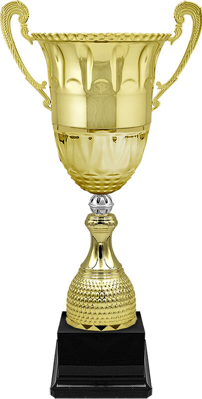 Кубок Драйвер