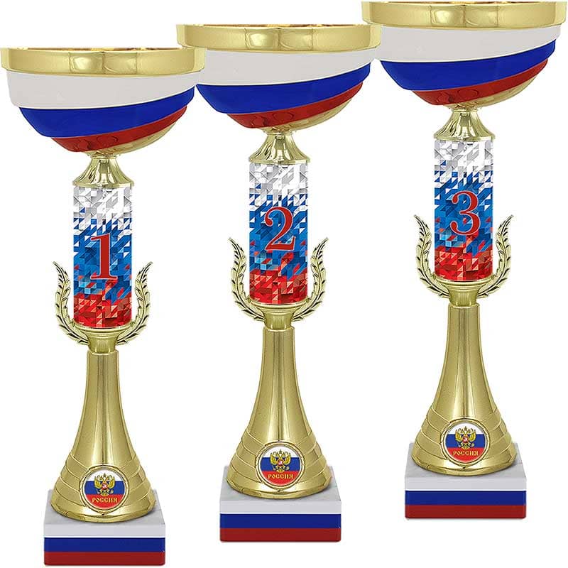 Кубок Мэтр 3 место Кубок Мэтр 3 место