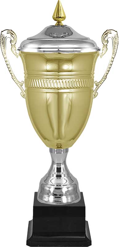 Кубок Майкл