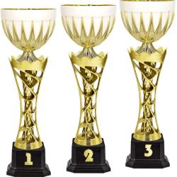 Кубок Арамис 3 место Кубок Арамис 3 место