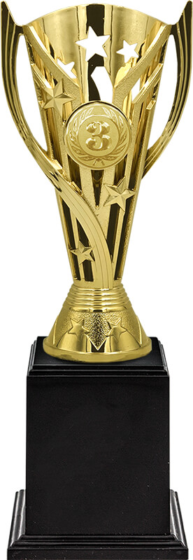 Кубок Пеппи 3 место