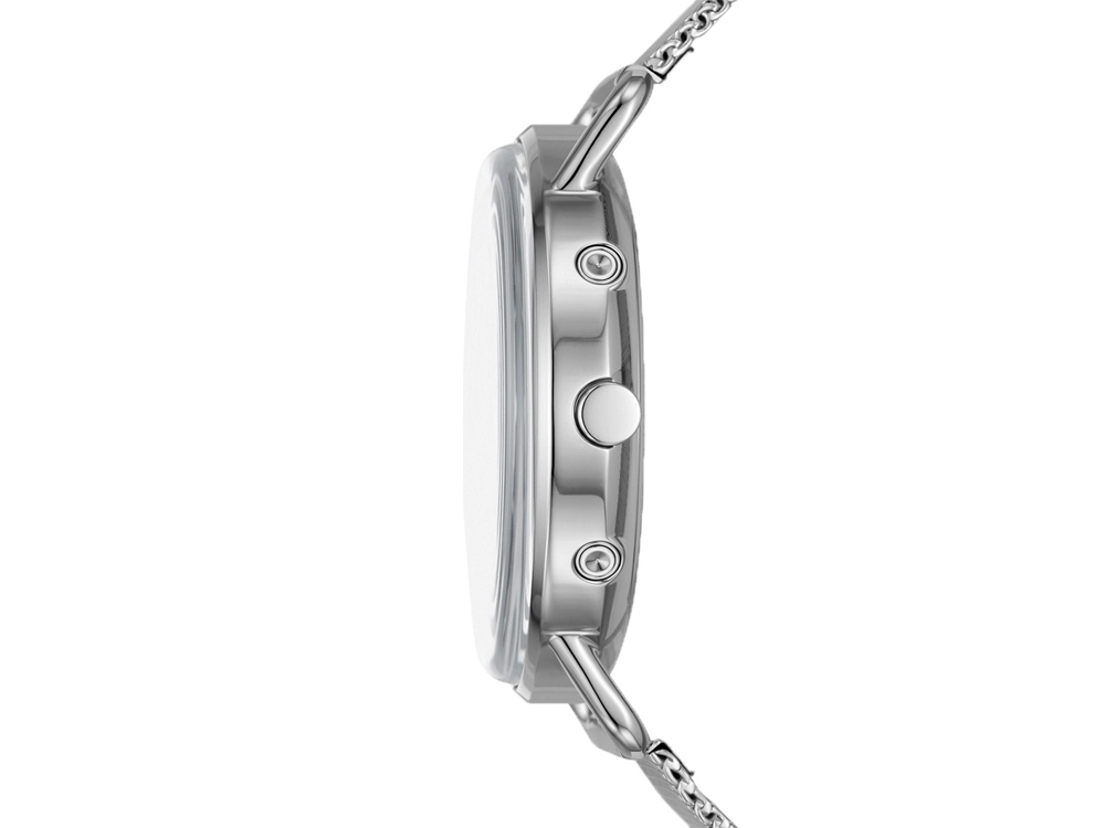 Часы наручные, мужские. Skagen