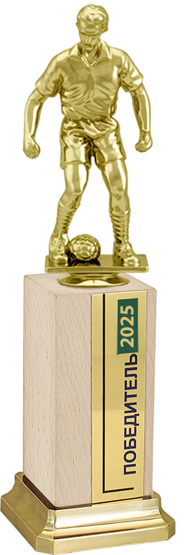 Награда Футболист на деревянном бруске Награда Футболист на деревянном бруске