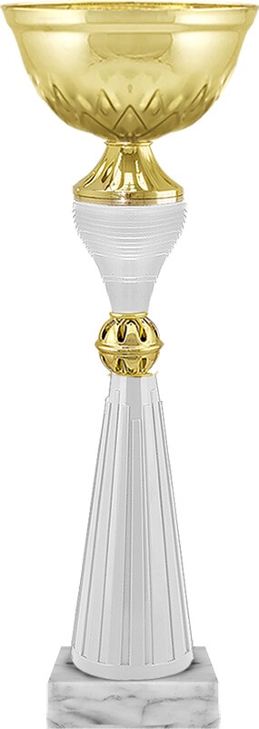 Кубок Юниор