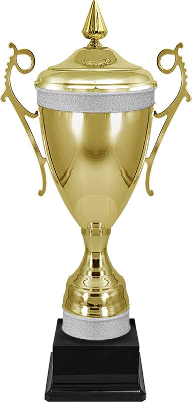 Кубок Амурхан