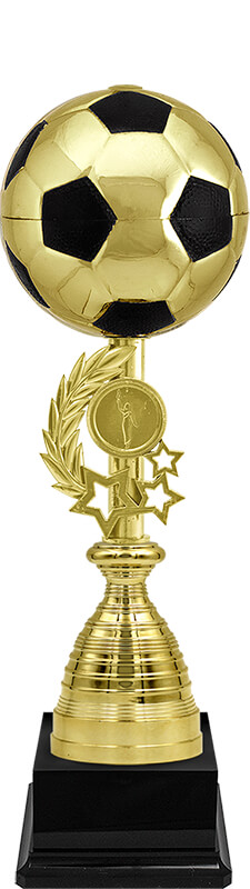 Кубок Брюнет