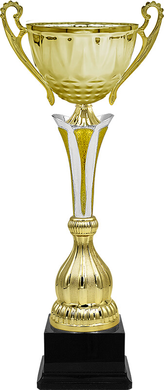 Кубок Ларри