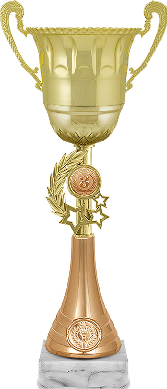 Кубок Ойла 3 место