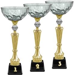 Кубок Нуар 3 место Кубок Нуар 3 место