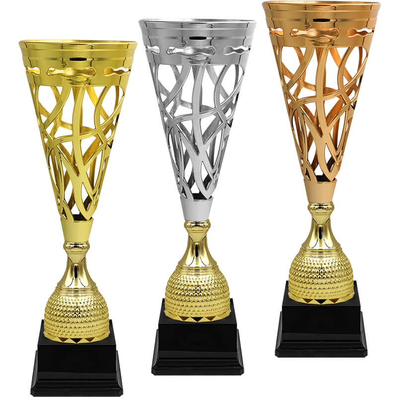 Кубок Викс (под бронзу)