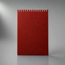 Бизнес - блокнот Альт А5 (137 х 198 мм) Office 60 л., красный