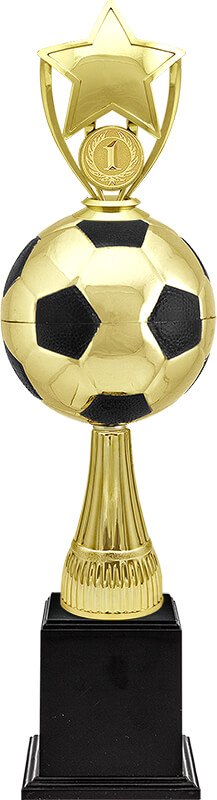 Награда-кубок Рауль 1 место