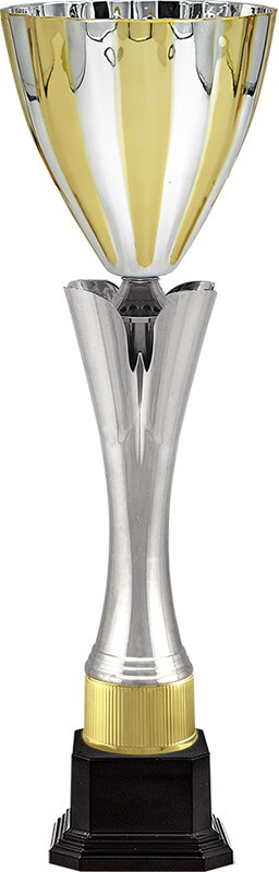 Кубок Фьюджи