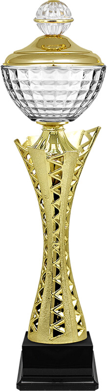 Кубок Карина