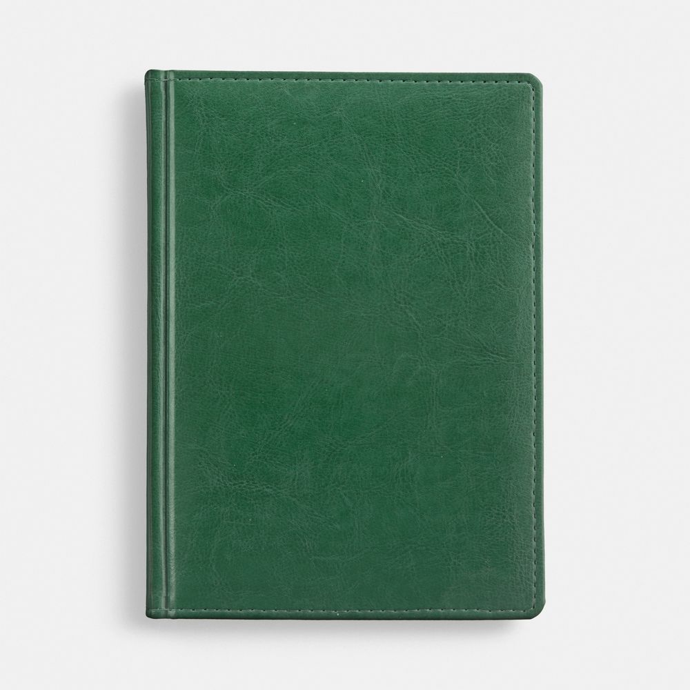 Ежедневник Nebraska, недатированный, зеленый Ежедневник Nebraska, недатированный, зеленый