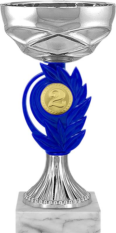 Кубок 2 место