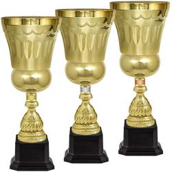 Кубок Штольц бр