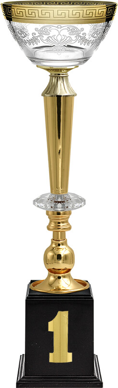 Кубок Эллея 1 место