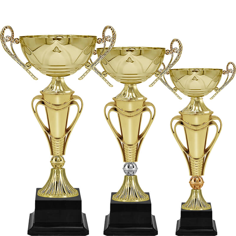 Кубок Тэйра (под бронзу)