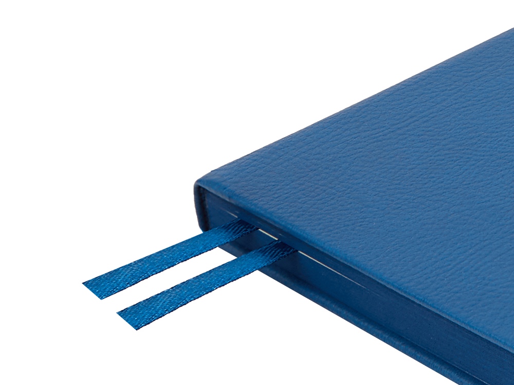 Ежедневник А5 датированный Megapolis Nappa на 2026, синий