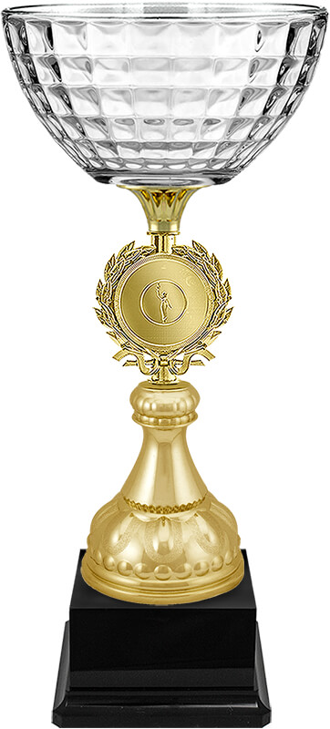 Кубок Магист (под золото)