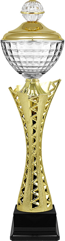 Кубок Карина