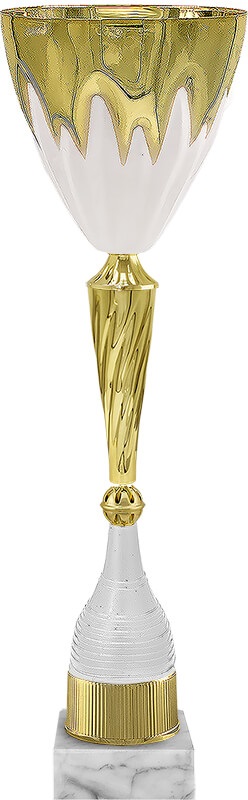 Кубок Аэлита