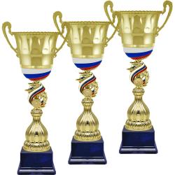 Кубок Сенат 3 место