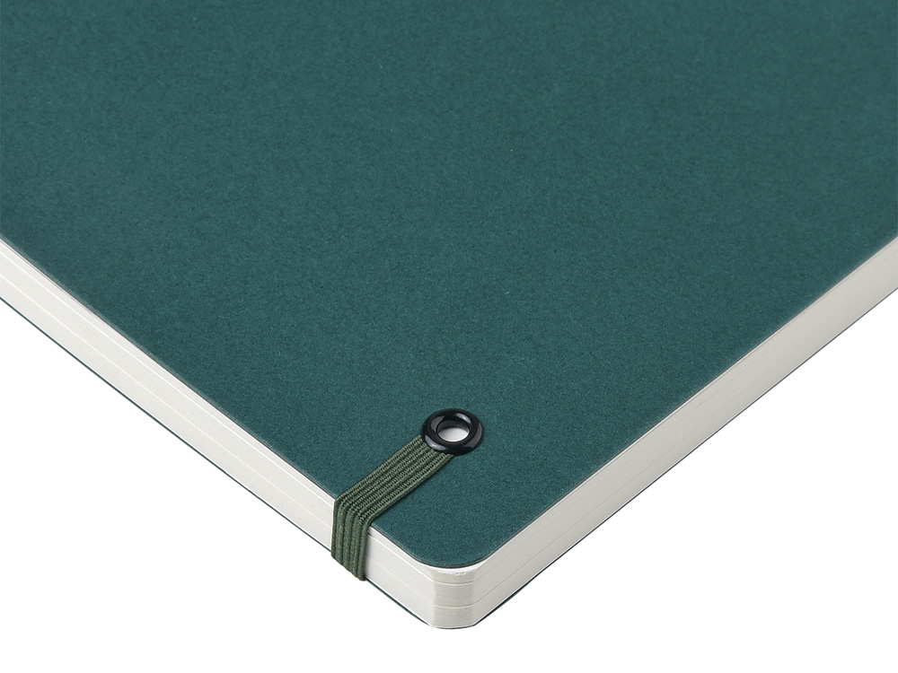 Ежедневник недатированный на гребне А5 Pragmatic, темно-зеленый