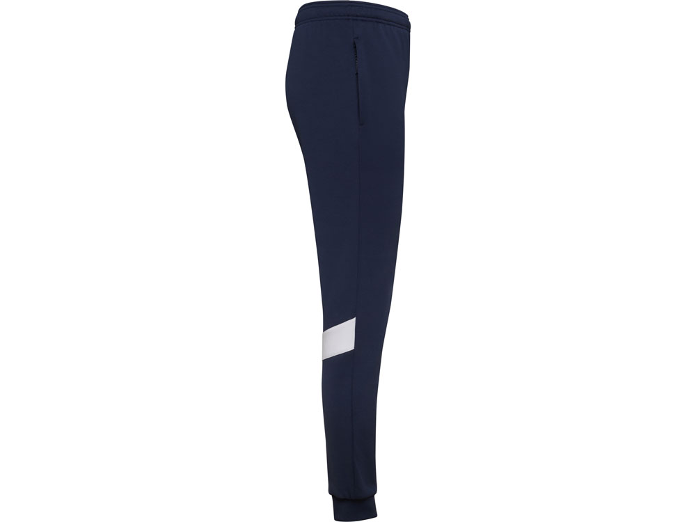 Брюки спортивные Rodas мужские, синий нэйви