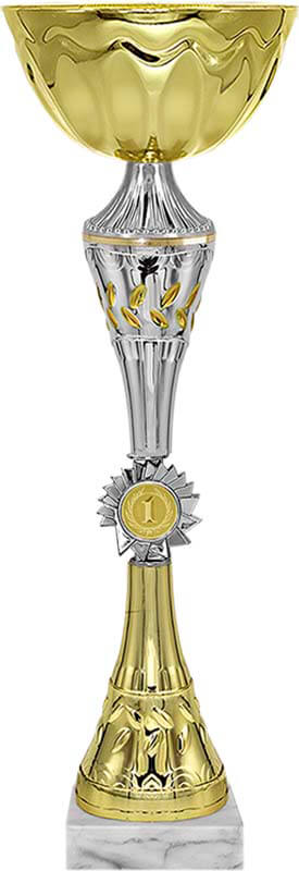 Кубок 1 место