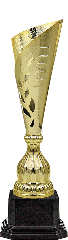 Кубок Хайли