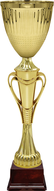 Кубок Тотти