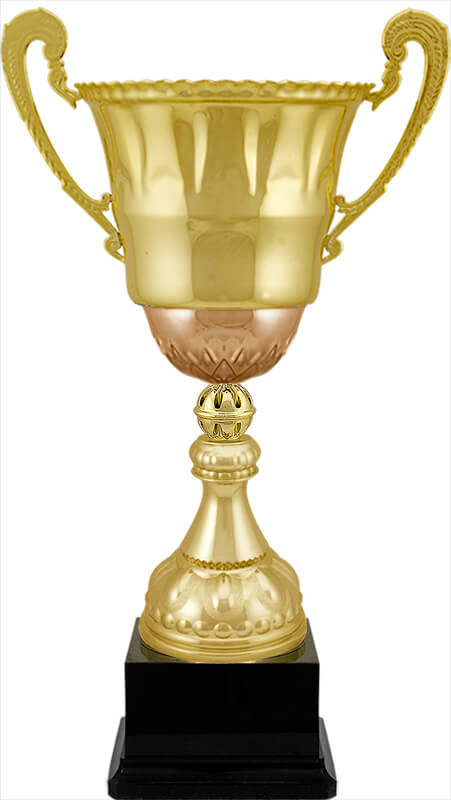 Кубок Стинг