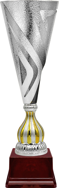 Кубок Ненси