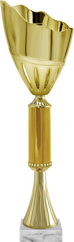 Кубок Арвен Кубок Арвен