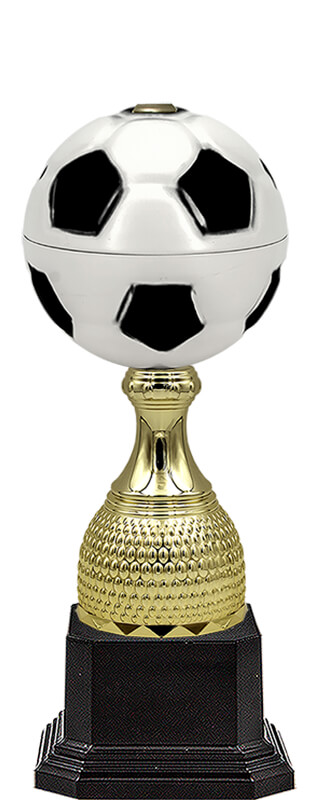 Кубок Гвен (футбол)